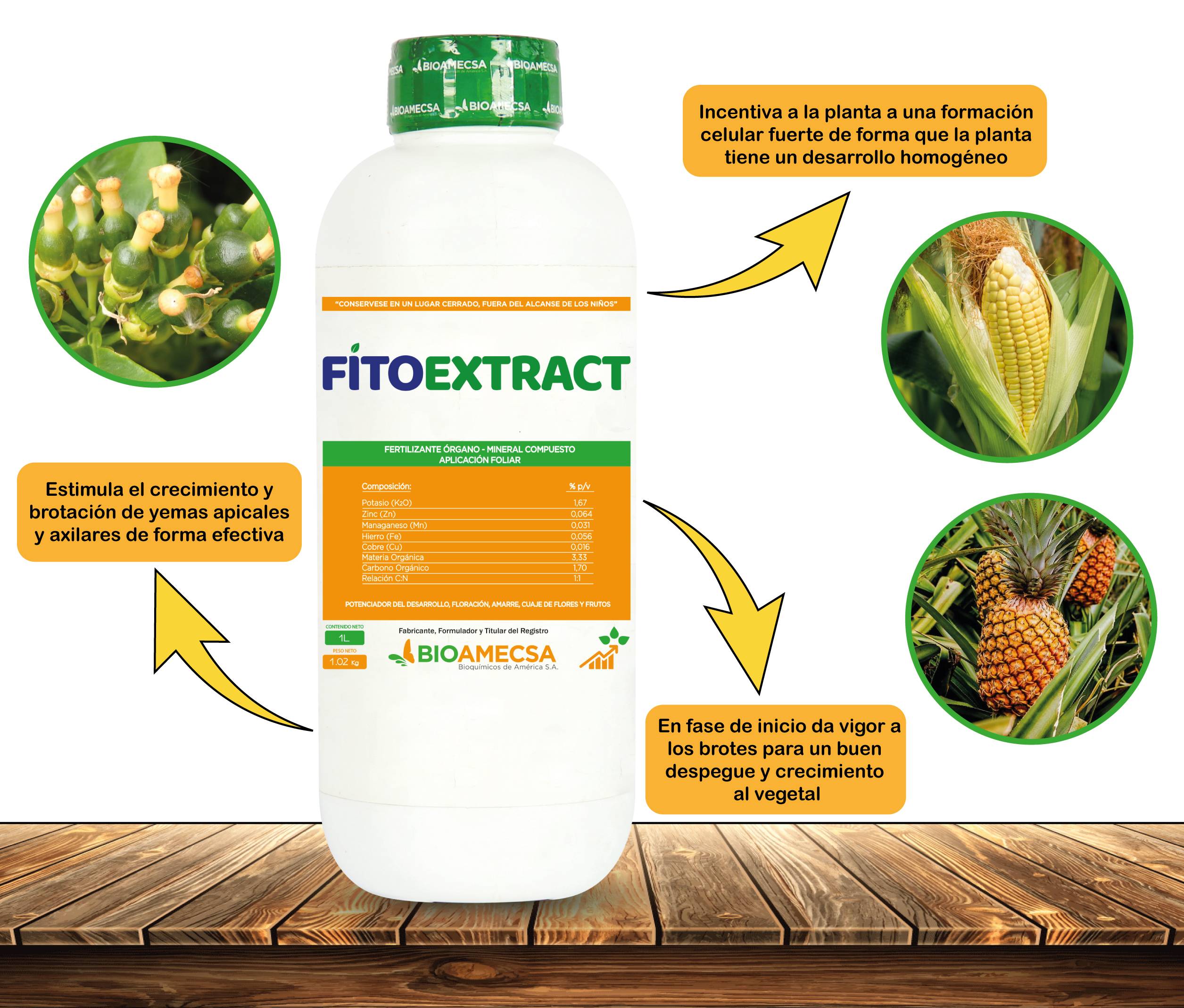 FITOEXTRACT